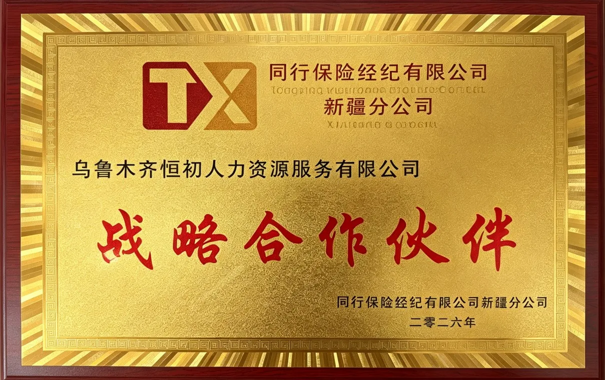 战略合作伙伴 · 同行保险经纪有限公司新疆分公司